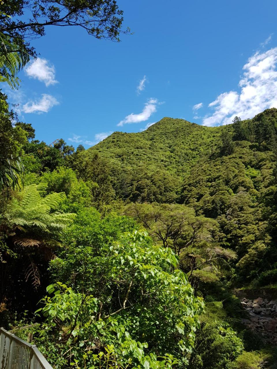 Riverside Accommodation Karangahake Εξωτερικό φωτογραφία